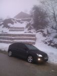 focus 1.6 titanium